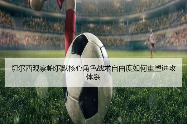 qie-er-xi-guan-cha-pa-er-mo-he-xin-jue-se-zhan-shu-zi-you-du-ru-he-zhong-su-jin-gong-ti-xi-2-562.jpg